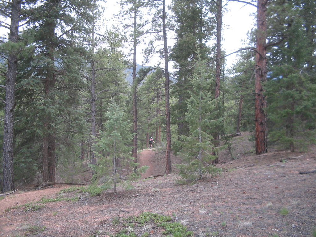IMG_3685.JPG