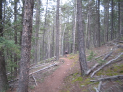 IMG_3673.JPG