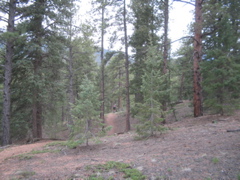 IMG_3685.JPG
