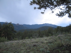 IMG_3662.JPG