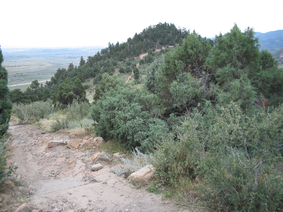 IMG_0098.JPG