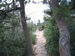 IMG_0086.JPG