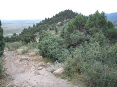IMG_0098.JPG