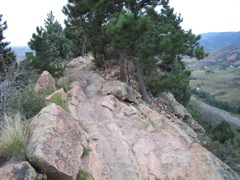 IMG_0105.JPG