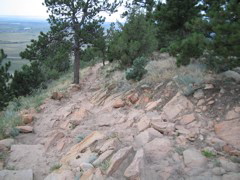 IMG_0107.JPG