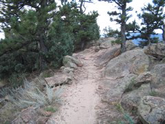 IMG_0108.JPG