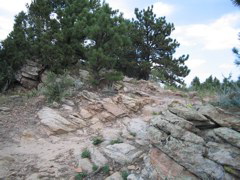 IMG_0111.JPG
