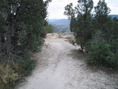 IMG_0115.JPG