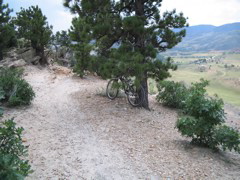 IMG_0117.JPG