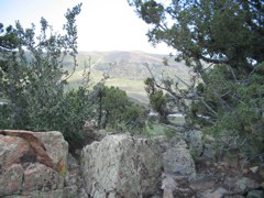 IMG_0080.JPG
