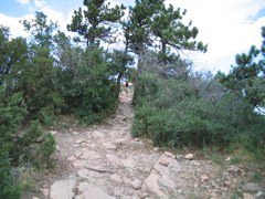 IMG_0084.JPG