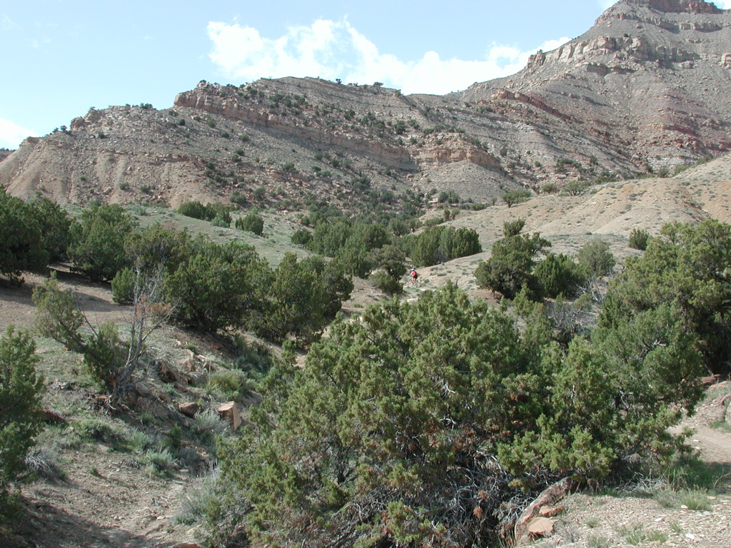 DSCN7938.JPG