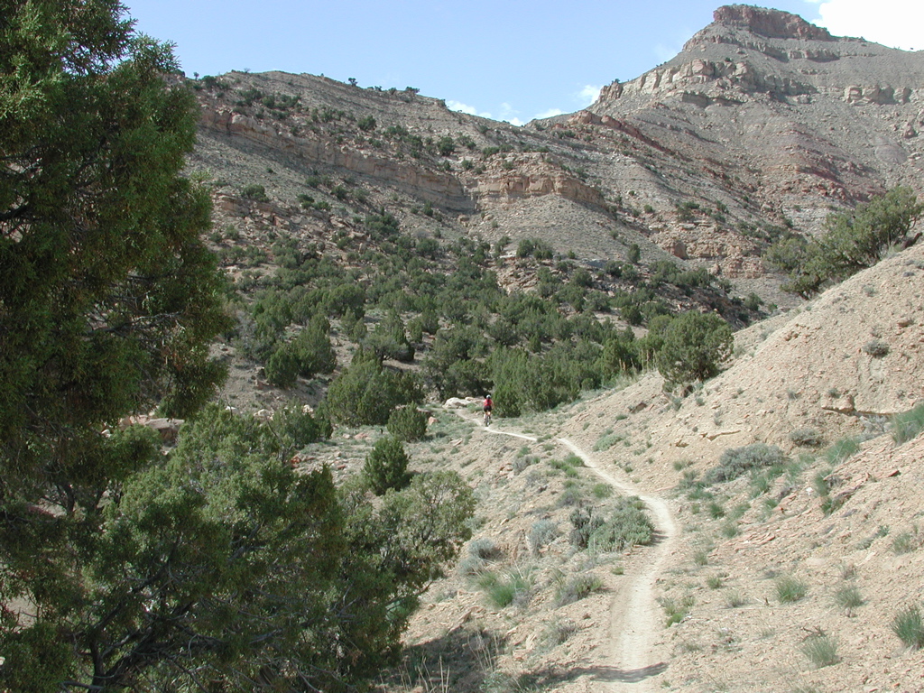 DSCN7939.JPG