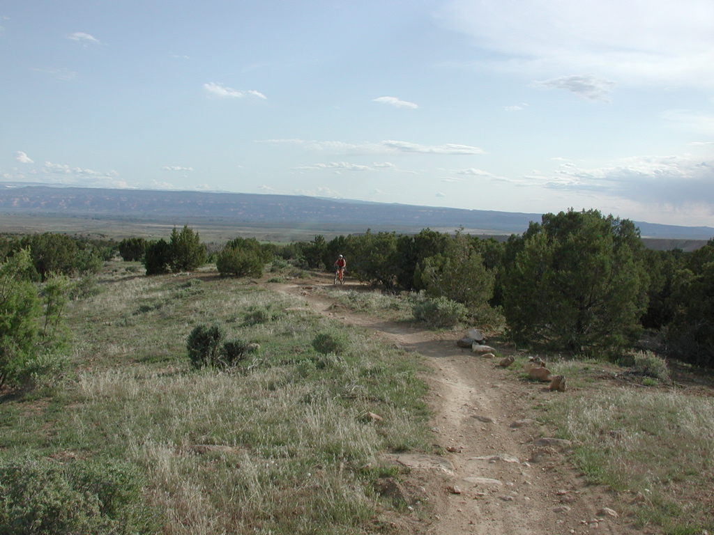 DSCN7951.JPG