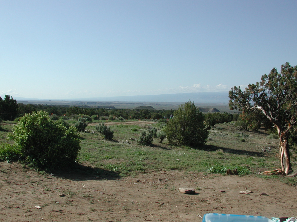 DSCN7954.JPG