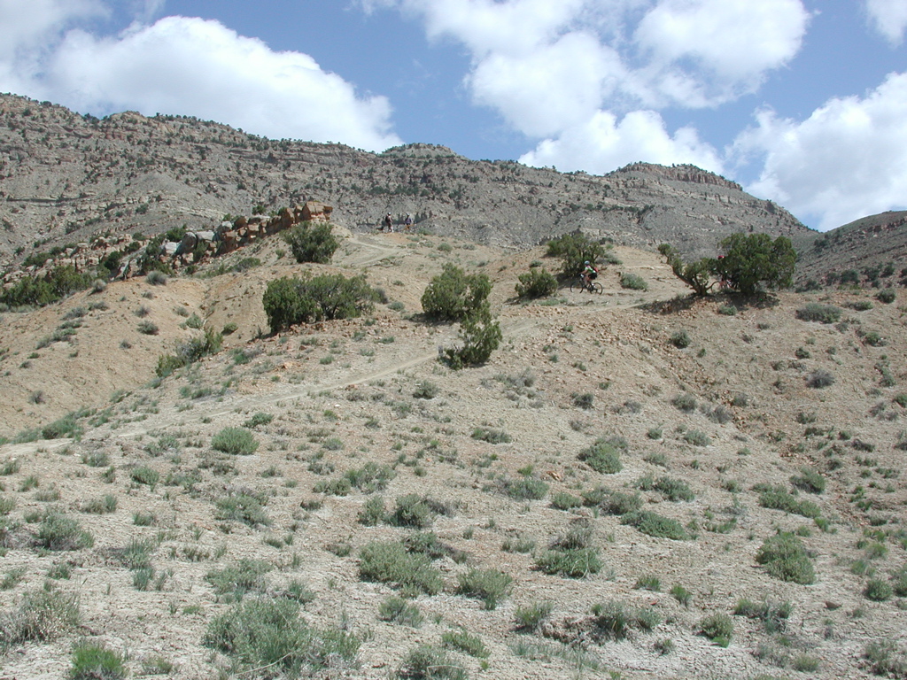 DSCN7955.JPG