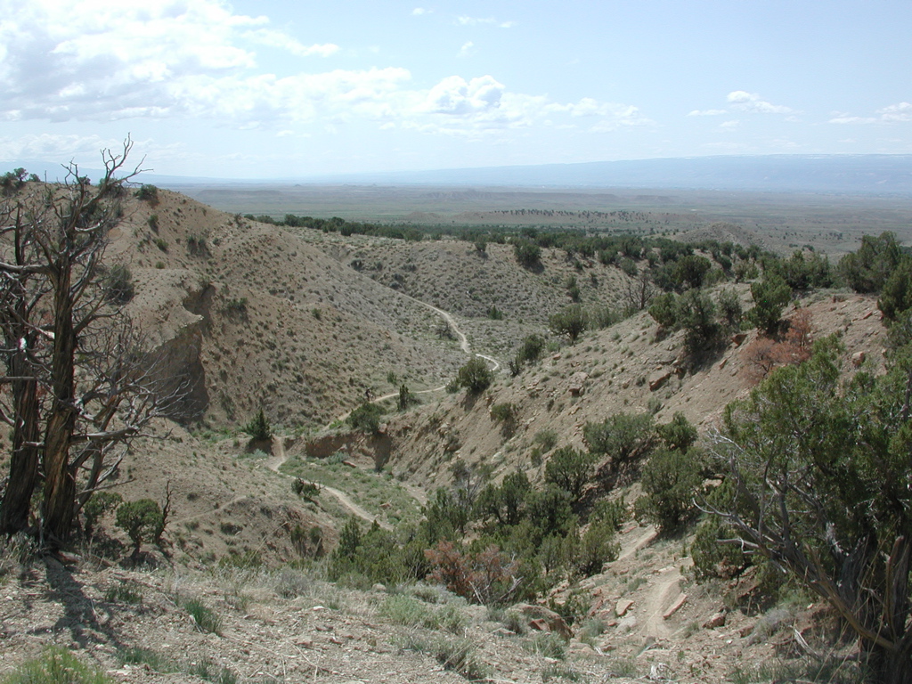DSCN7958.JPG