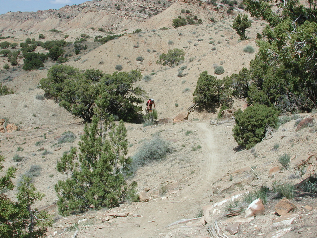 DSCN7959.JPG