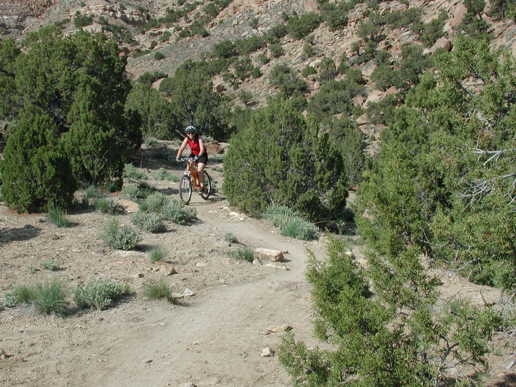 DSCN7940.JPG