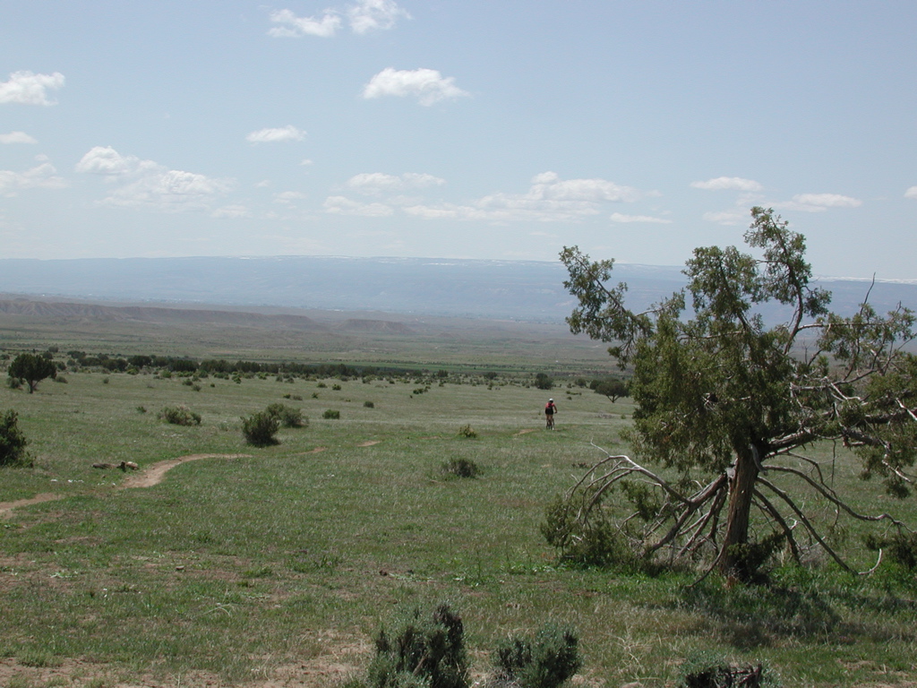 DSCN7961.JPG