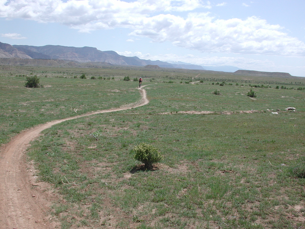 DSCN7964.JPG