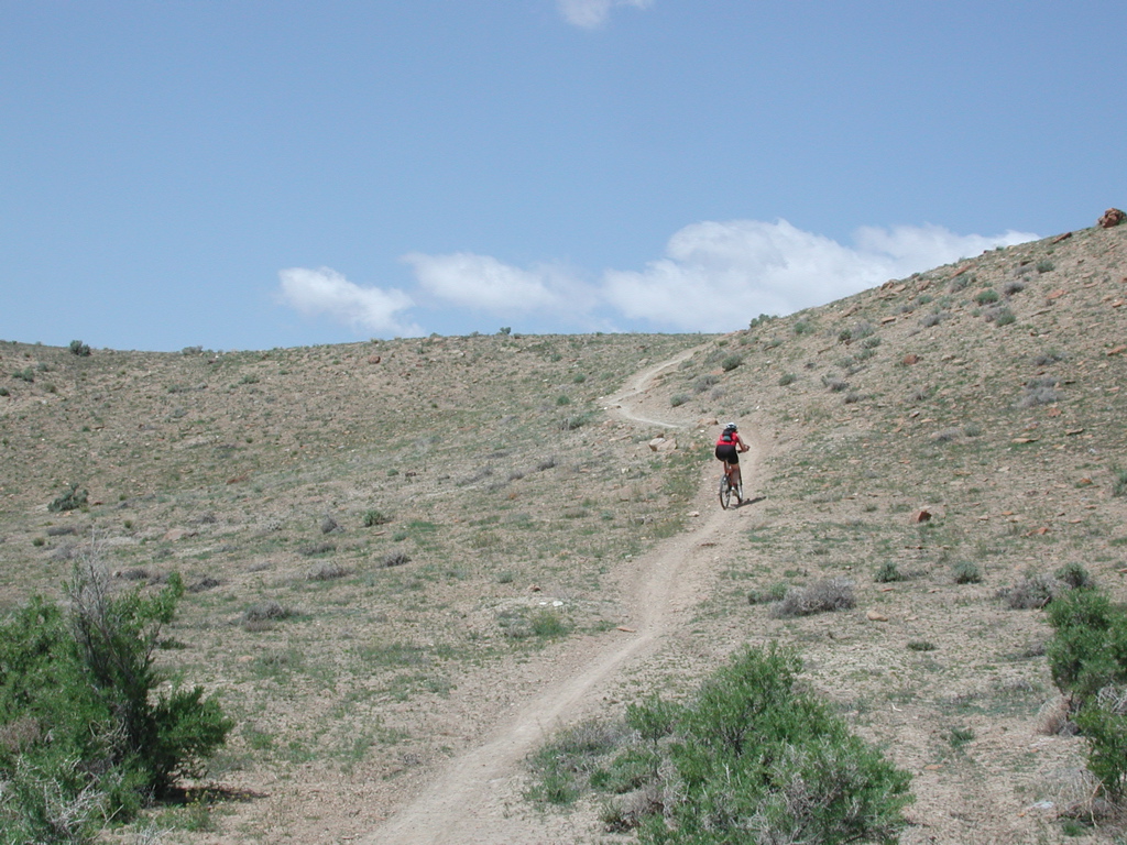 DSCN7965.JPG