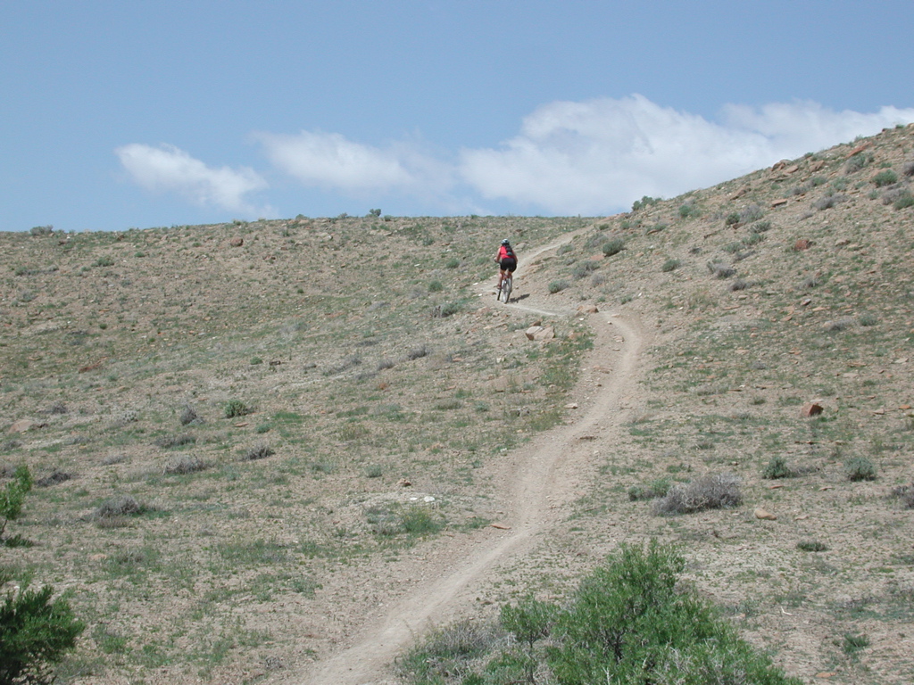 DSCN7966.JPG