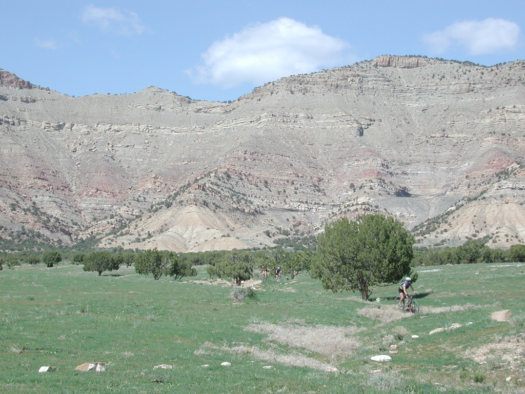 DSCN7971.JPG