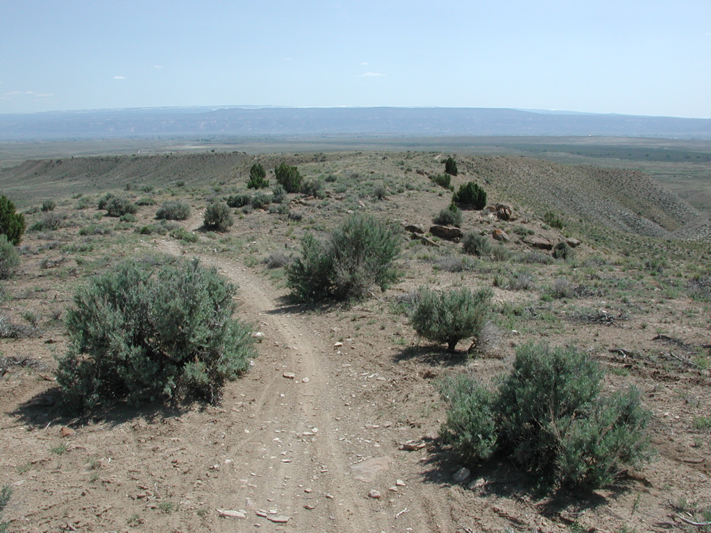 DSCN7974.JPG