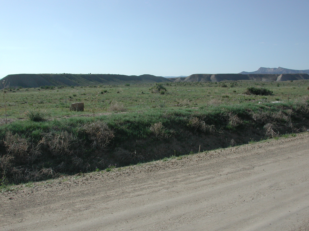 DSCN7979.JPG
