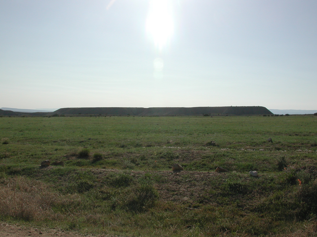 DSCN7980.JPG