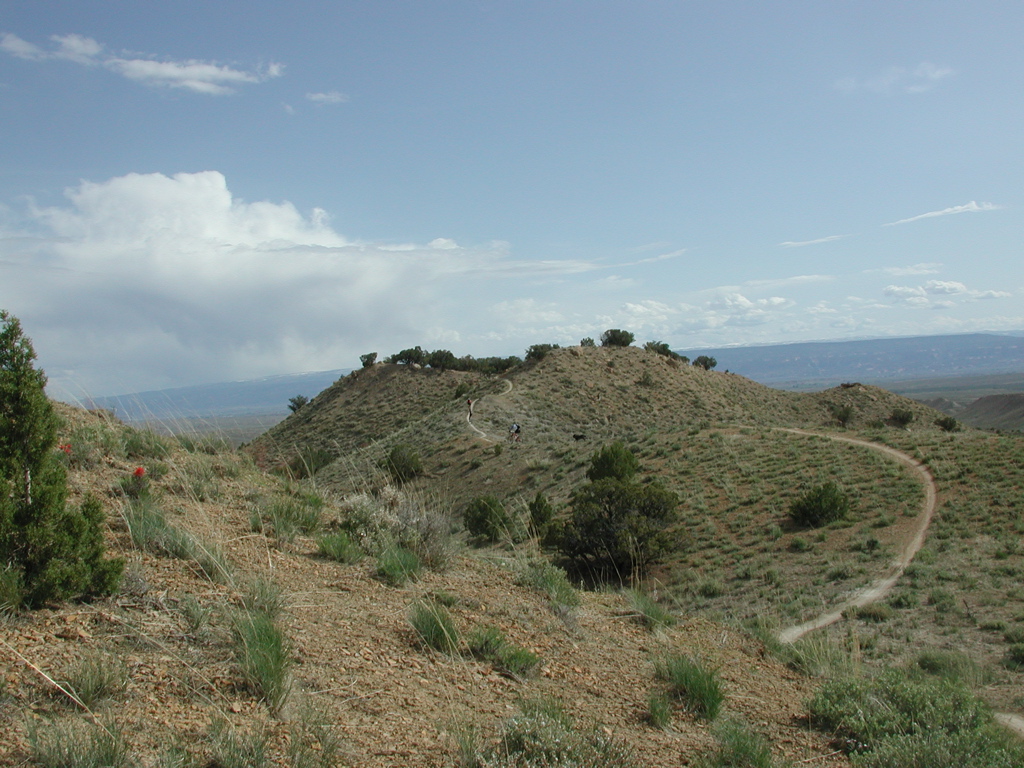 DSCN7943.JPG