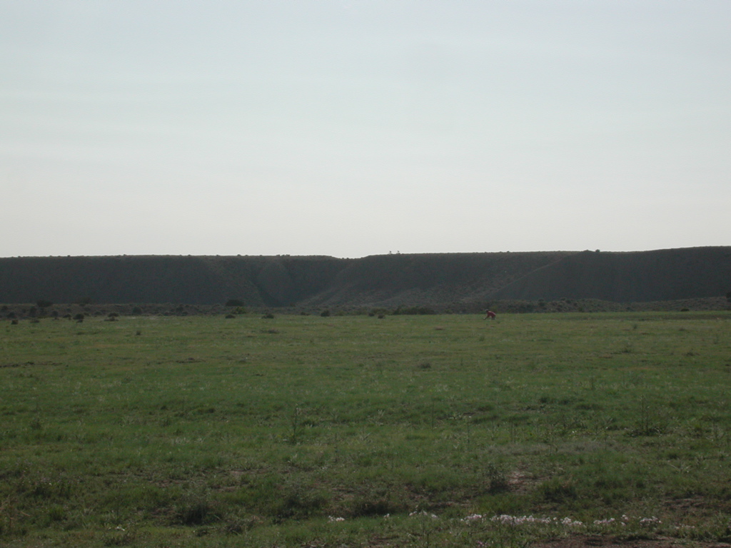 DSCN7981.JPG