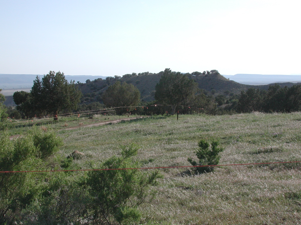 DSCN7982.JPG