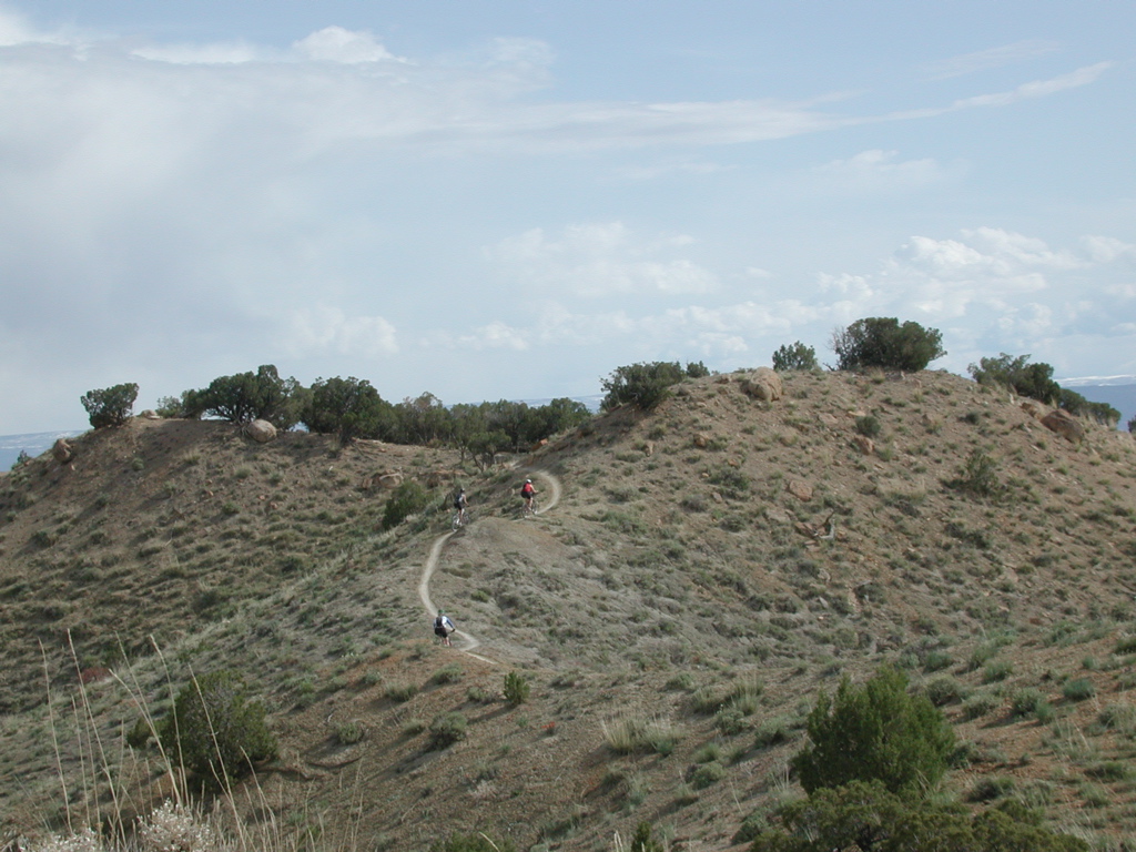 DSCN7944.JPG