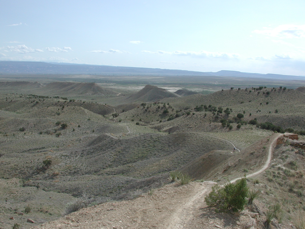 DSCN7946.JPG