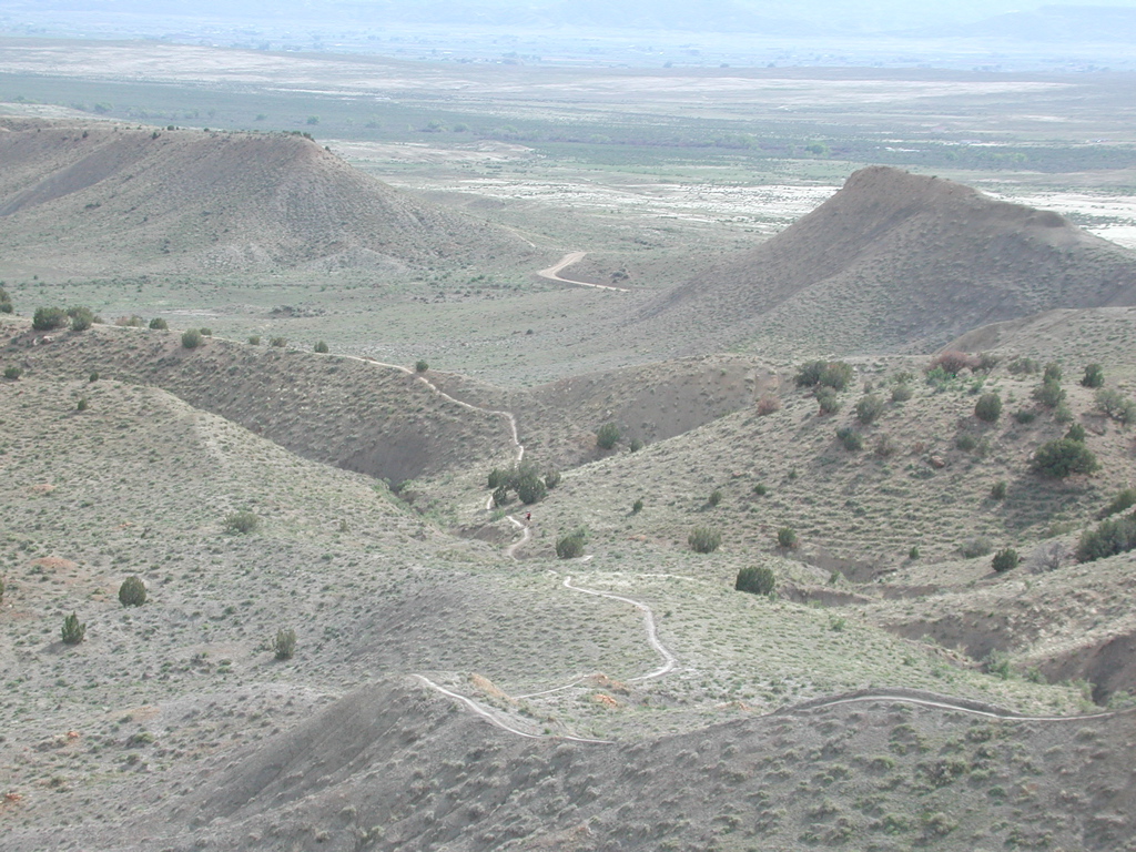 DSCN7947.JPG