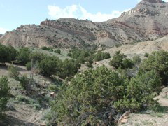 DSCN7938.JPG