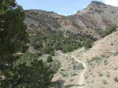 DSCN7939.JPG