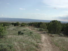 DSCN7951.JPG