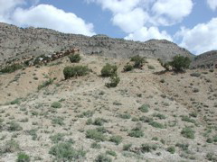 DSCN7955.JPG