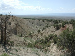 DSCN7958.JPG