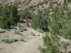 DSCN7940.JPG