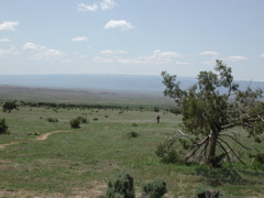 DSCN7961.JPG