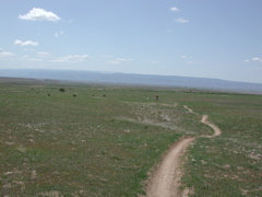 DSCN7962.JPG