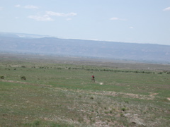 DSCN7963.JPG