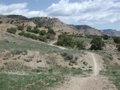 DSCN7967.JPG