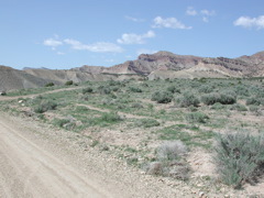 DSCN7972.JPG