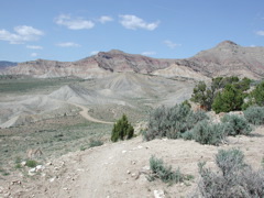 DSCN7973.JPG