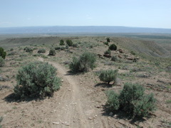 DSCN7974.JPG